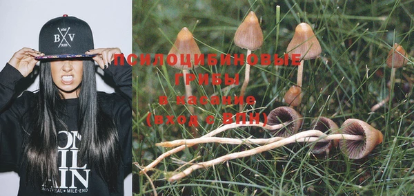 бошки Балахна