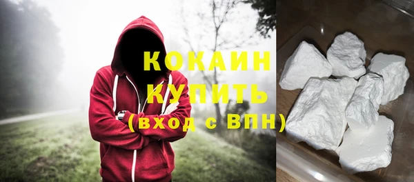 гидра Аркадак