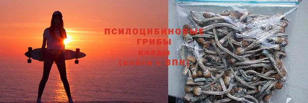 гидра Аркадак
