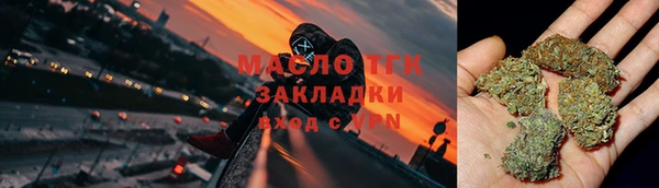 индика Баксан