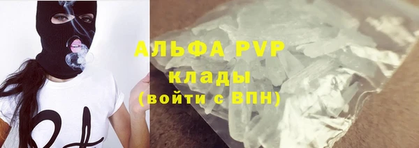 индика Баксан