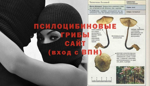 бошки Балахна