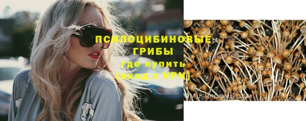гидра Аркадак