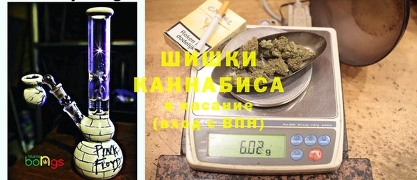 гидра Аркадак