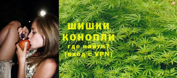индика Баксан