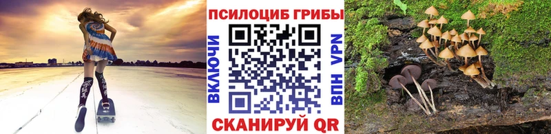 наркошоп  Салехард  Псилоцибиновые грибы GOLDEN TEACHER 
